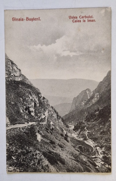 SINAIA  - BUSTENI , VALEA CERBULUI , CALEA LA IMAN , CARTE POSTALA , INCEPUTUL SEC. XX