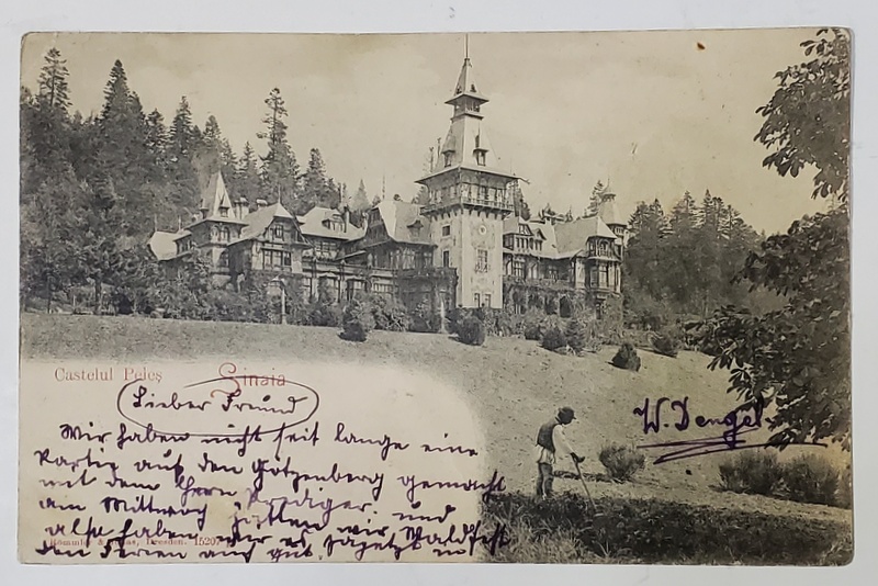 SINAIA , CASTELUL PELES , CARTE POSTALA ILUSTRATA , CLASICA, TIPARITA LA DRESDA