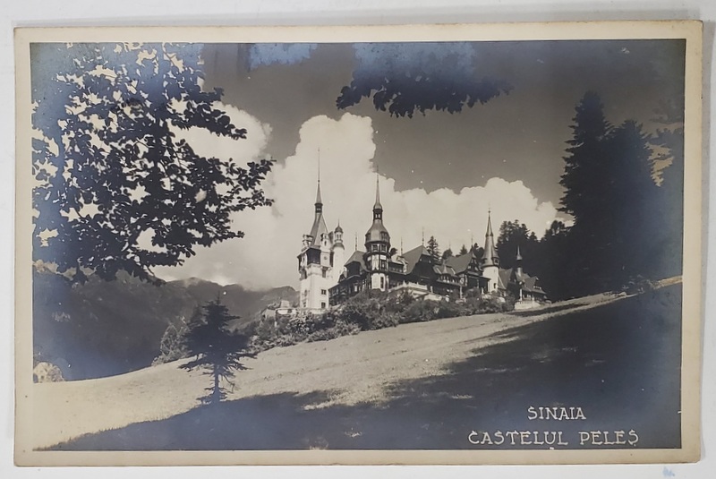 SINAIA , CASTELUL PELES , CARTE POSTALA ILUSTRATA , INTERBELICA, MONOCROMA