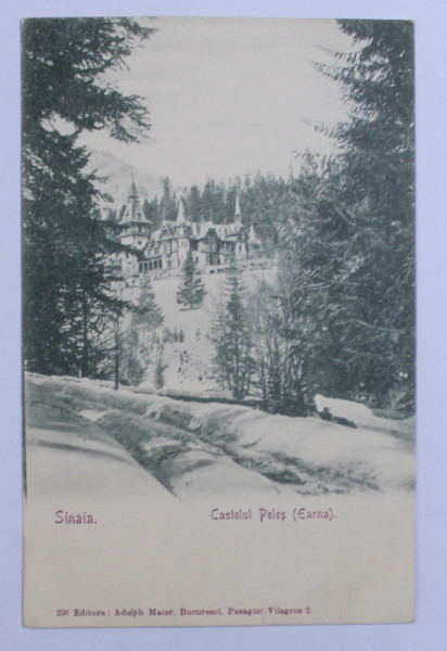 SINAIA  - CASTELUL PELES IARNA , CARTE POSTALA ILUSTRATA , MONOCROMA , NECIRCULATA , CLASICA