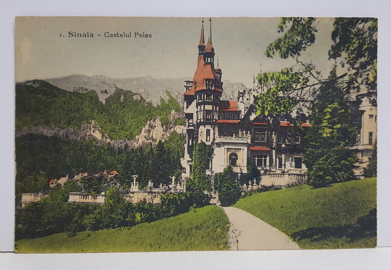 SINAIA - CASTELUL PELES , VEDERE GENERALA , CARTE POSTALA ILUSTRATA , NECIRCULATA , PERIOADA INTERBELICA