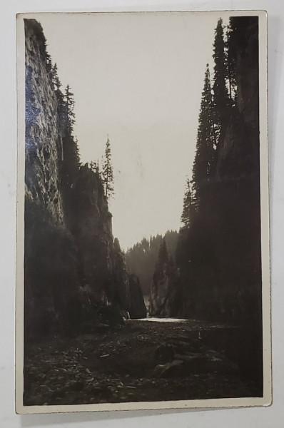 SINAIA , CHEILE ZANOAGA MICA , CARTE POSTALA ILUSTRATA , 1932