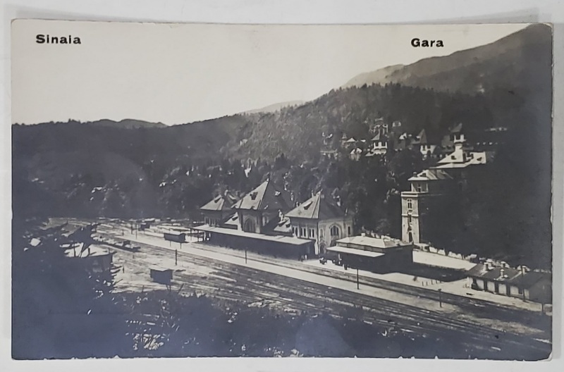 SINAIA , GARA , COLECTIA SILVIU DRAGOMIR , CARTE POSTALA ILUSTRATA , MONOCROMA , INTERBELICA