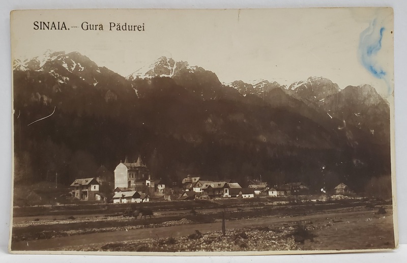 SINAIA , GURA PADUREI , CARTE POSTALA , INCEPUTUL SEC. XX