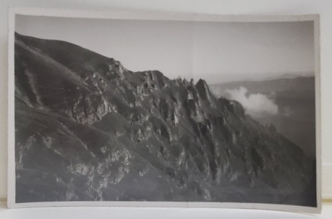SINAIA , MUNTELE BUCSOIU , 2357 m. , FOTOGRAFIE TIP CARTE POSTALA , INTERBELICA , PREZINTA URMA DE INDOIRE PE MIJLOC