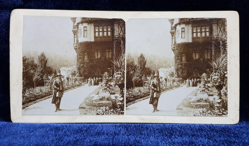 SINAIA , VEDERE DIN GRADINA CASTELULUI PELES , FOTOGRAFIE STEROSCOPICA , MONOCROMA , PE SUPORT DE CARTON , CCA. 1900