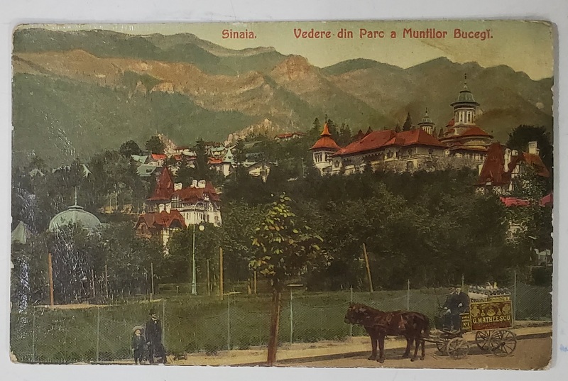 SINAIA , VEDERE DIN PARC A MUNTILOR BUCEGI , CARTE POSTALA ILUSTRATA , 1910