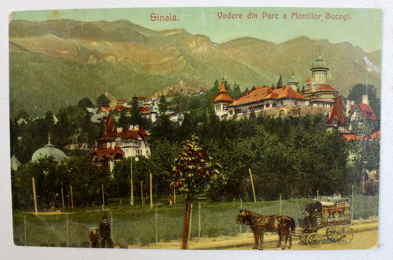 SINAIA - VEDERE DIN PARC A MUNTILOR BUCEGI , CARTE POSTALA ILUSTRATA