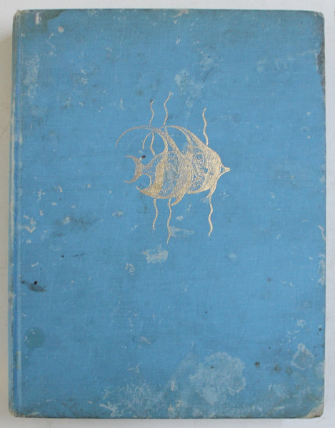 SMITH 'S SEA FISHES by J.L.B. SMITH , with illustrations by MARGARET M . SMITH , 1977