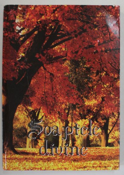 SOAPTELE DIVINE de PARINTELE CALISTRAT , ANII '2000