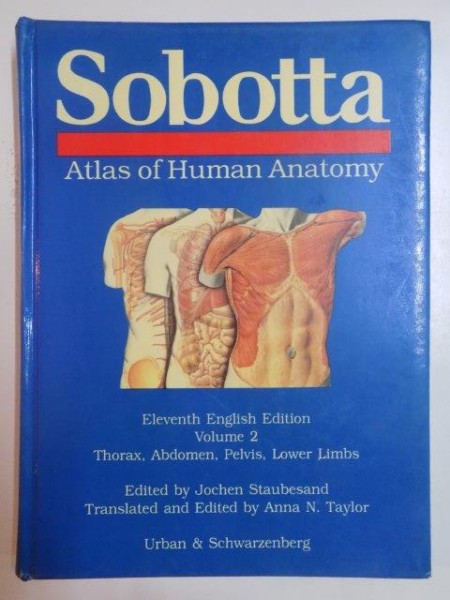 SOBOTTA . ATLAS OF HUMAN ANATOMY , VOL. II , THORAX , ABDOMEN , PELVIS , LOWER LIMBS , 1990