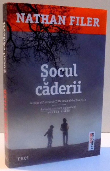 SOCUL CADERII de NATHAN FILER , 2014