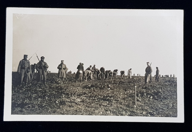 SOLDATI GERMANI LA SAPAT PE CAMP , CARTE POSTALA ILUSTRATA , MONOCROMA , CURCULATA , DATATA 1916