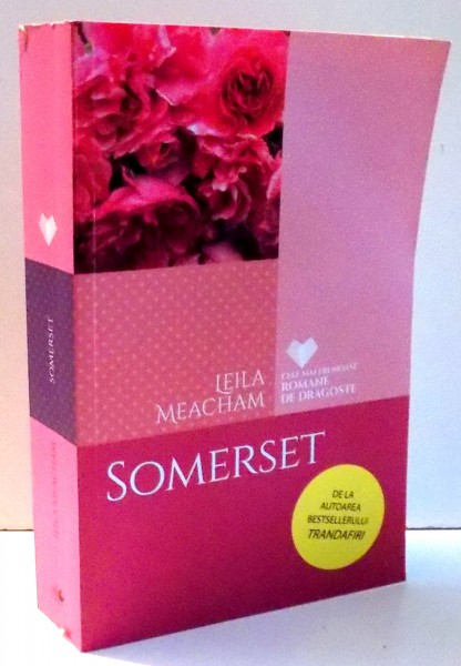 SOMERSET de LEILA MEACHAM , 2017