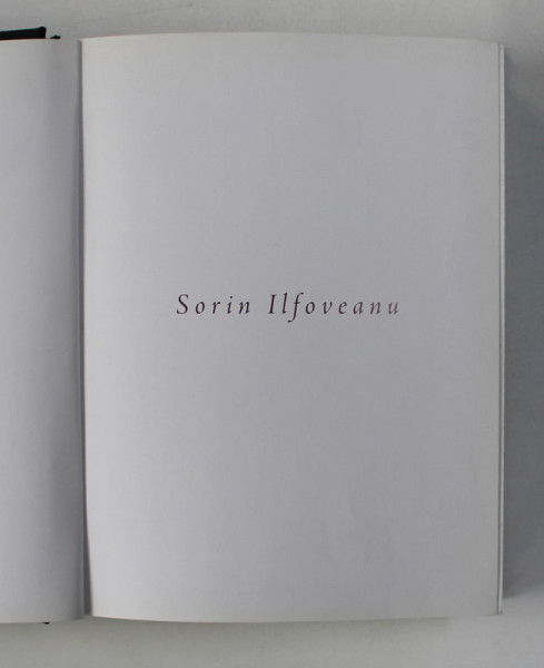 SORIN ILFOVEANU , ATELIER 1995 - 2010 , text de CRISTIAN ROBERT VELESCU si VICTOR NEUMANN , 2010