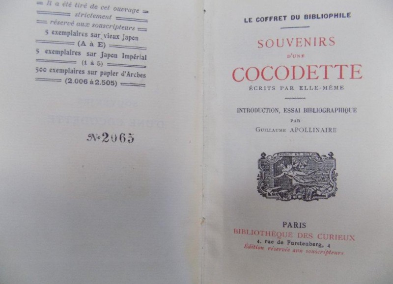 Souvenirs d'une Cocodette, Paris