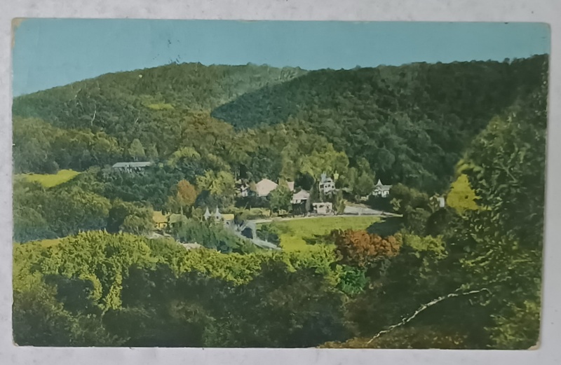 SOVATA , VILELE LA TARA SUB PADUREA CAPOLNAS , CARTE POSTALA , 1922