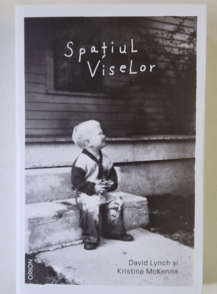 SPATIUL VISELOR de DAVID LYNCH si KRISTINE MCKENNA , 2024 *MICI DEFECTE