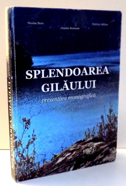 SPLENDOAREA GILAULUI de NICOLAE STEIU , ... , DUMITRU SFARLEA , 2004