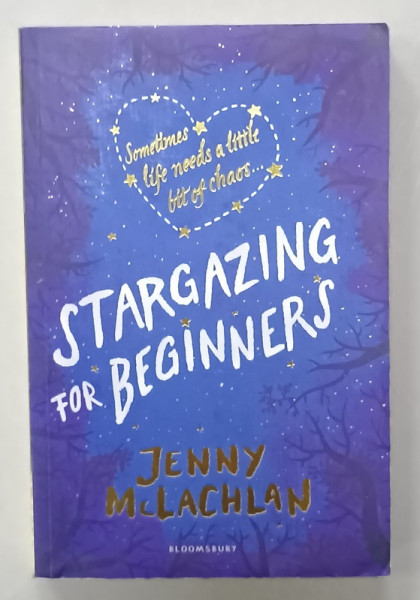 STARGAZING FOR BEGINNERS by JENNY McLACHLAN  , 2017
