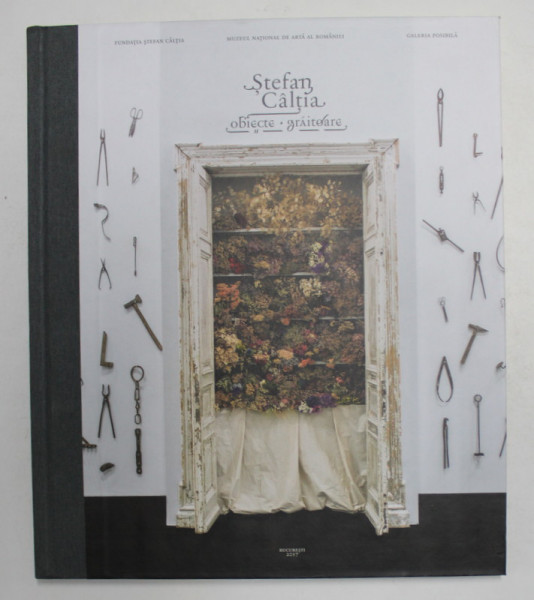 STEFAN CALTIA - OBIECTE GRAITOARE de SVETLANA CARSTEAN , LILIANA CHIRIAC , ALEXANDRA MANOLE , 2017