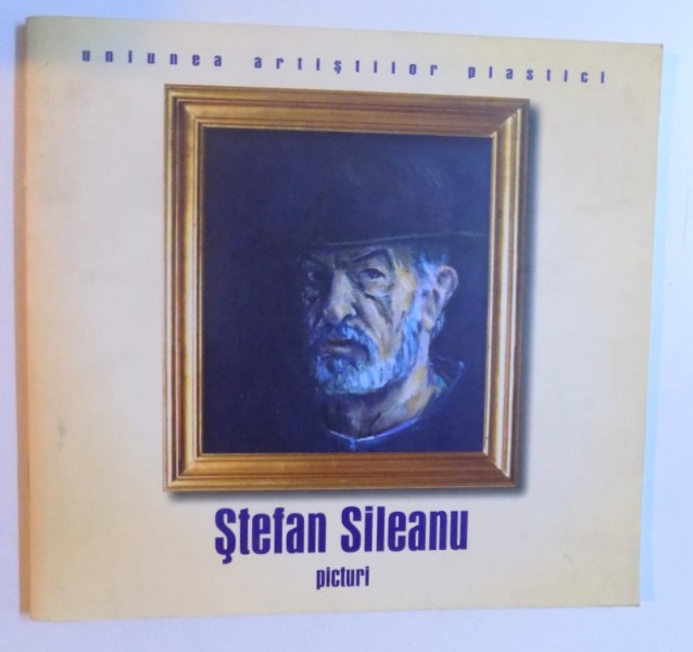 STEFAN SILEANU - PICTURI