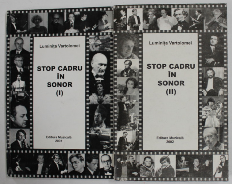 STOP CADRU IN SONOR  de LUMINITA VARTOLOMEI , VOLUMELE I - II , 2001