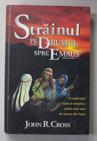STRAINUL PE DRUMUL SPRE EMAUS de JOHN R. CROSS , 2007