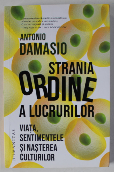STRANIA ORDINE A LUCRURILOR , VIATA , SENTIMENTELE SI NASTEREA CULTURILOR de ANTONIO DAMASIO , 2022, PREZINTA HALOURI DE APA *