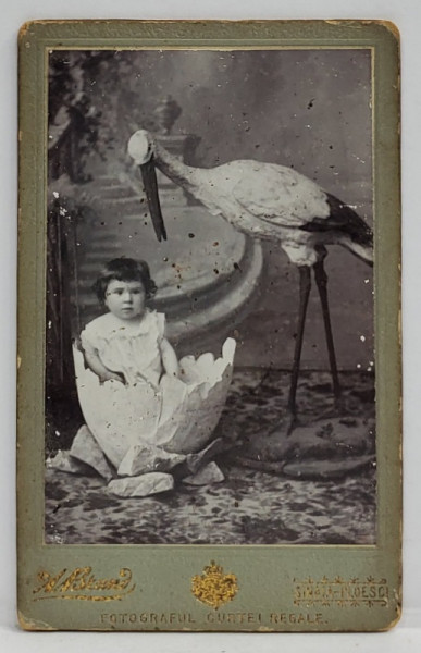 STUDIO ALFRED BRAND , SINAIA - PLOIESTI , FETITA ADUSA DE BARZA , FOTOGRAFIE C.D.V. , SFARSITUL SEC. XIX