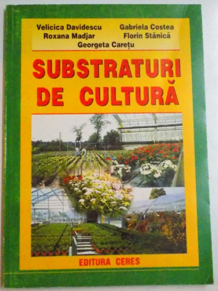 SUBSTRATURI DE CULTURA , 2001