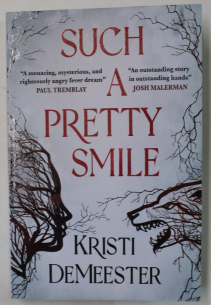 SUCH A PRETTY SMILE by KRISTI DEMEESTER , 2023