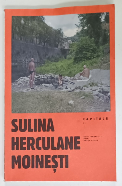 SULINA , HERCULANE , MOINESTI , GHID JURNALISTIC PRIN ORASE UITATE , creat de SCENA 9 , PREZINTA HALOURI DE APA *  , ANII  '2000