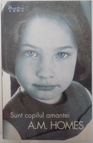 SUNT COPILUL AMANTEI de A.M. HOMES 2008