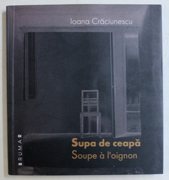 SUPA DE CEAPA / SOUPE A L ' OIGNON de IOANA CRACIUNESCU , 2007
