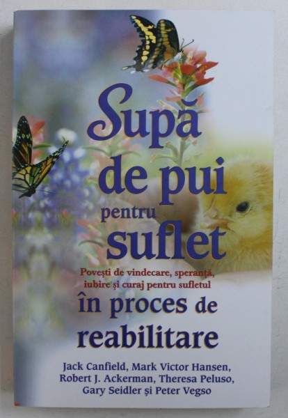 SUPA DE PUI PENTRU SUFLET - POVESTI DE VINDECARE , SPERANTA , IUBIRE SI CURAJ PENTRU SUFLETUL IN PROCES DE REABILITARE  de JACK CANFIELD ...PETER VEGSO , 2013