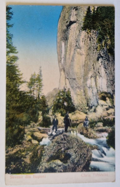 SUVENIR DIN BUSTENI , CHEIA TATARULUI , CARTE POSTALA , 1915