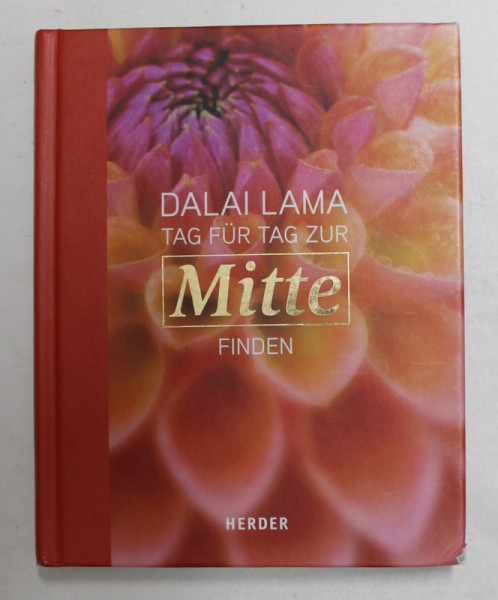 TAG FUR TAG ZUR MITTE FINDEN von DALAI LAMA , 2014