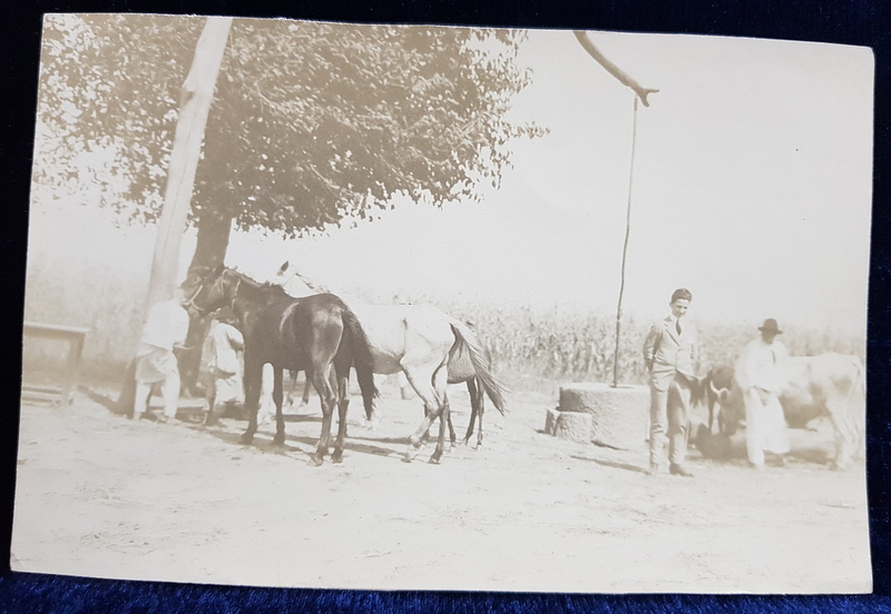 TANAR IN COSTUM DE ORAS , POZAND LANGA FANTANA LA TARA , FOTOGRAFIE MONOCROMA, PE GARTIE SUBTIRE , PERIOADA INTERBELICA