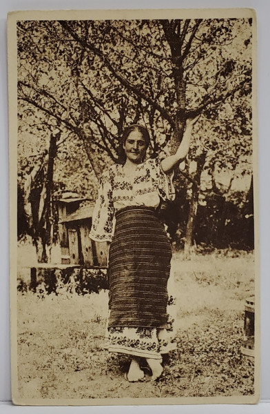 TANARA IN COSTUM POPULAR , IN LIVADA , CARTE POSTALA ILUSTRATA , 1924