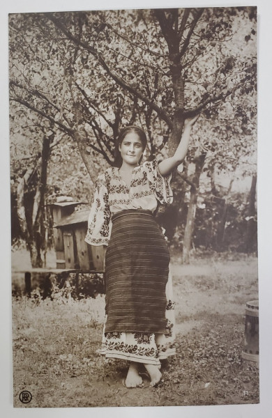 TANARA IN COSTUM POPULAR ROMANESC , POZAND IN LIVADA , COLECTIA A. BELLU , FOTOGRAFIE TIP CARTE POSTALA , INTERBELICA