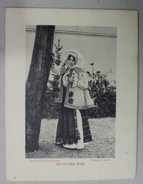 TANARA IN PORT DIN SEBES ,  ARDEAL, COLECTIA  AL. ANTONIU , INCEPUTUL SEC. XX