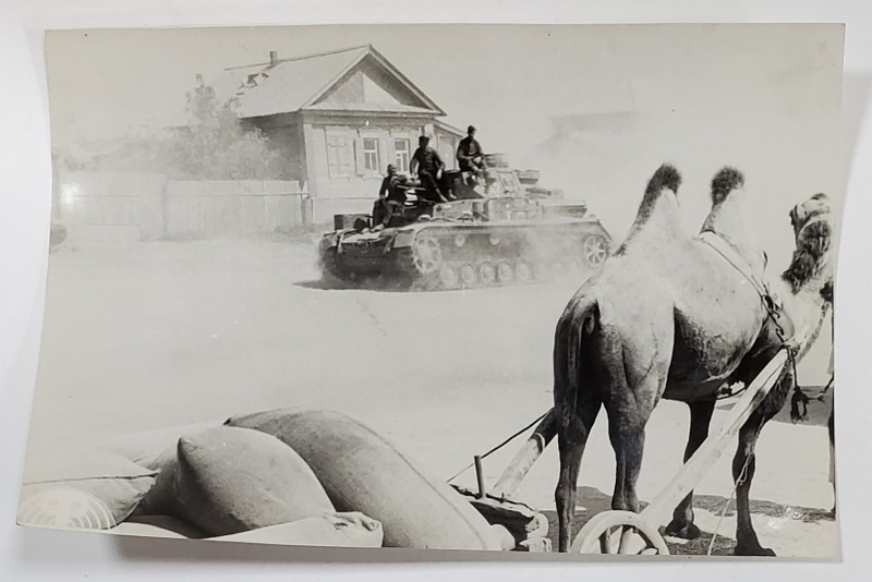 TANCURI SI CAMILE PE FRONTUL STALINGRADULUI , ARMATA ROMANO - GERMANA , 21 SEPT. 1942 ,FOTOGRAFIE DE PRESA