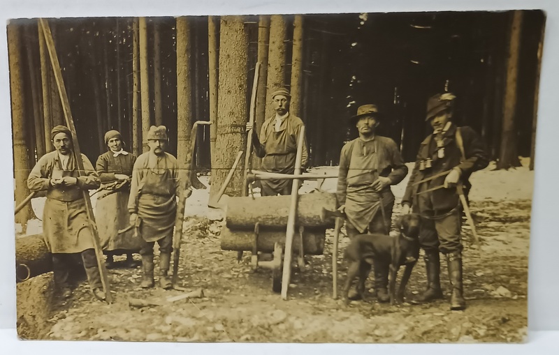TAPINARI  SI PADURAR LA MUNCA IN PADURE , FOTOGRAFIE FORMAT CARTE POSTALA , INCEPUT DE SECOL XX