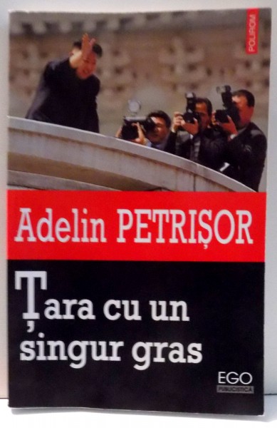 TARA CU UN SINGUR GRAS de ADELIN PETRISOR , 2013