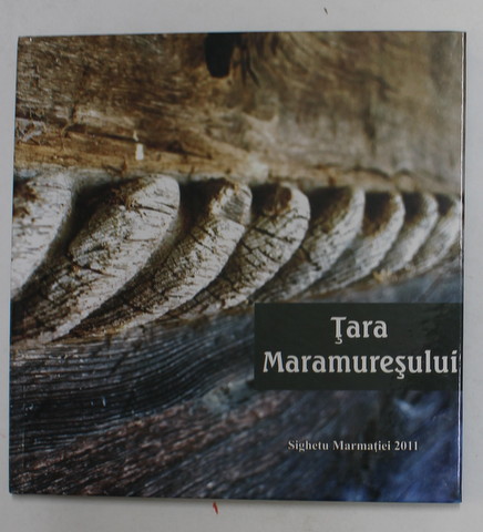 TARA MARAMURESULUI de VASILE TIMUR  CHIS , 2011