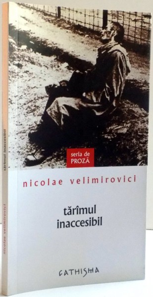 TARAMUL INACCESIBIL , POVESTE PENTRU MATURI de NICOLAE VELIMIROVICI , 2007