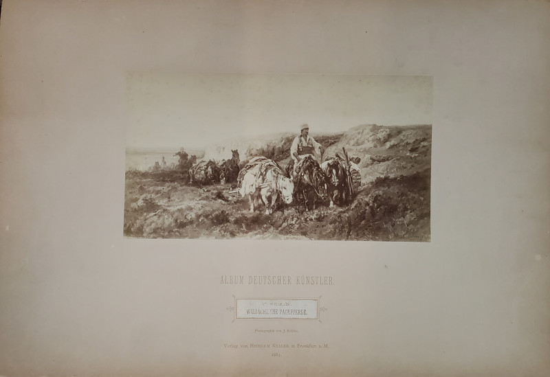 TARAN IN VALAHIA , CU CAI DE POVARA , REPRODUCERE FOTO DUPA PICTURA , 1882