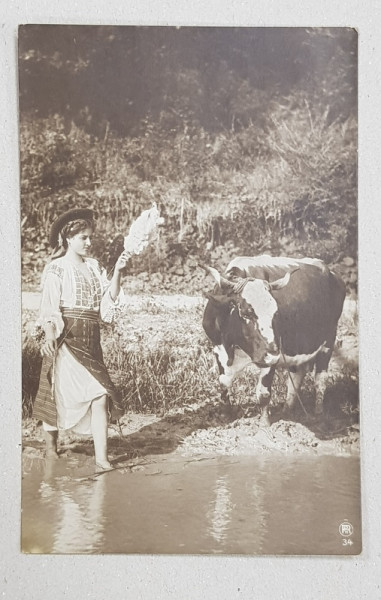 TARANCA CU CAIERUL LA RAU , COLECTIA A . BELLU , FOTOGRAFIE TIP CARTE POSTALA , MONOCROMA , CIRCULATA , 1923