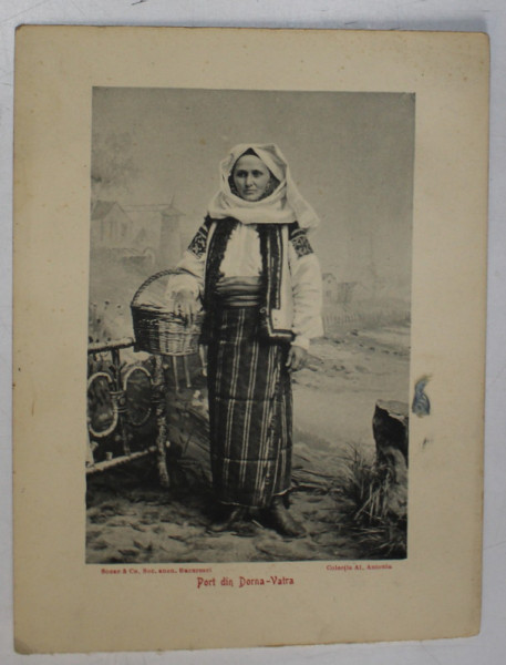 TARANCA IN PORT POPULAR DIN VATRA - DORNEI , COLECTIA AL. ANTONIU , INCEPUTUL SEC. XX